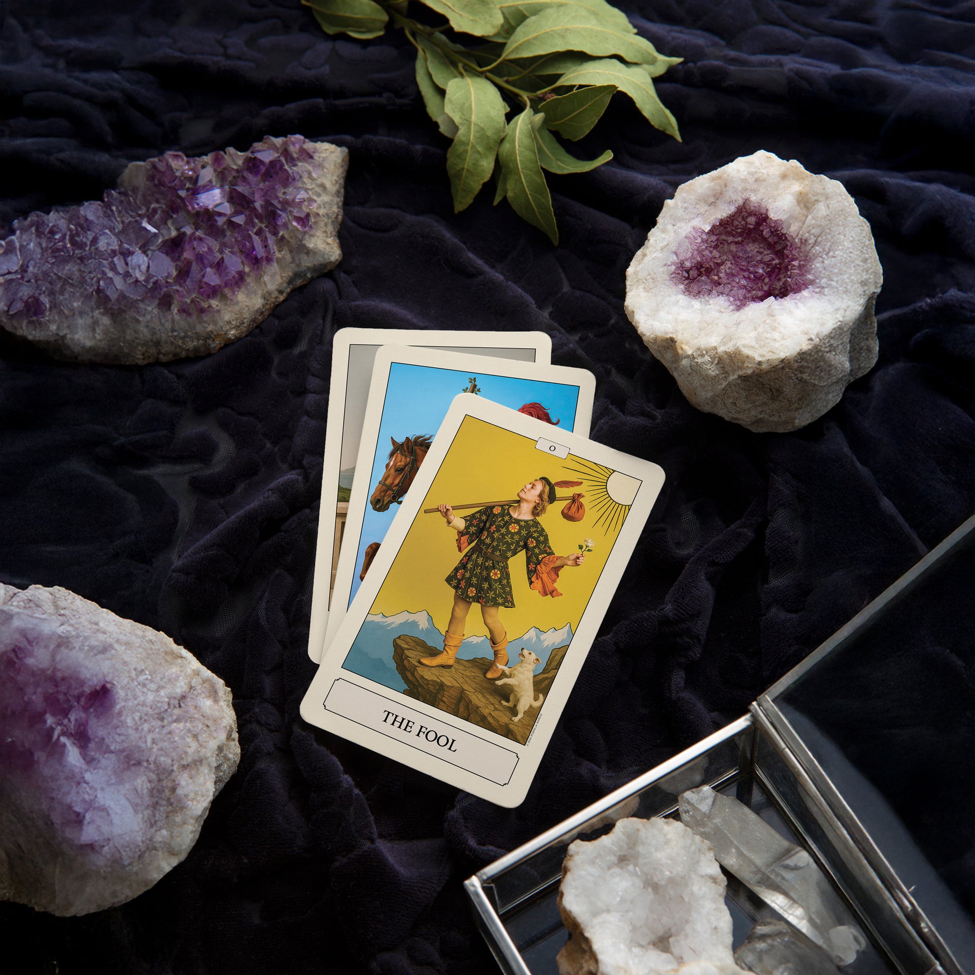 Vivace Arcana Tarot Deck - 78 Photographic Tarot Cards - Modern Symbolic Tarot for Beginners, Collectors & Creatives